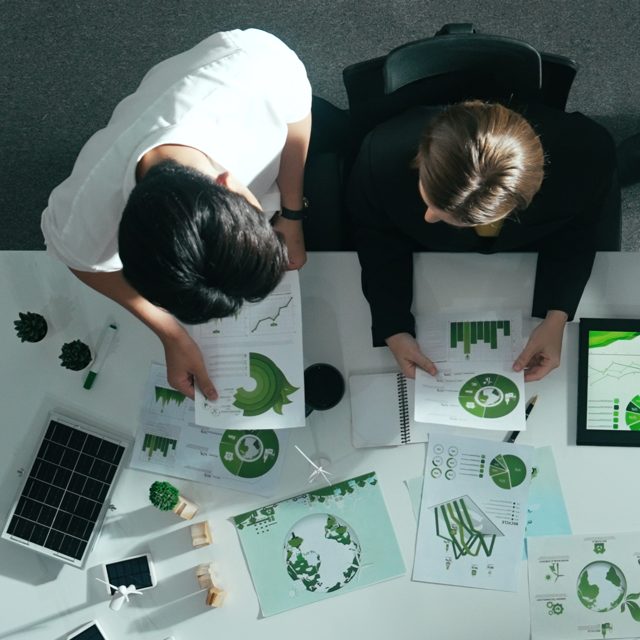 Sustainability Management